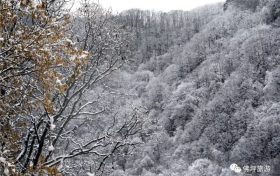雨雪天气今晚就到!安全防御指南请收好→缩略图 雨雪天气今晚就到!安全防御指南请收好→缩略图