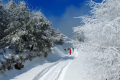 一场浪漫冬雪，让镇巴美出圈！缩略图