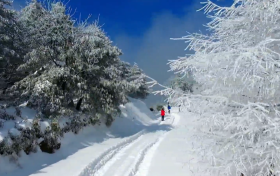 一场浪漫冬雪，让镇巴美出圈！缩略图
