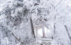 赏雪时节已至,汉江源邀您感受白色浪漫!缩略图 赏雪时节已至,汉江源邀您感受白色浪漫!缩略图