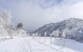 天冷了，吃点啥有助抗寒？缩略图