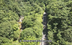 佛坪这条最美农村路,每一步都是风景!缩略图 佛坪这条最美农村路,每一步都是风景!缩略图