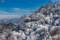 局地大暴雪、最低温度-28℃…… 本周陕西将迎强寒潮天气缩略图