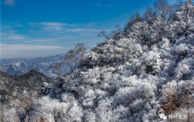 局地大暴雪、最低温度-28℃…… 本周陕西将迎强寒潮天气缩略图 局地大暴雪、最低温度-28℃…… 本周陕西将迎强寒潮天气缩略图