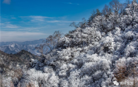 局地大暴雪、最低温度-28℃…… 本周陕西将迎强寒潮天气缩略图