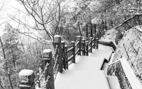 冷҈冷҈冷҈，最低零下 6 ℃ ，汉台迎来新一轮降温降雪，详情→缩略图
