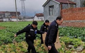 城南派出所成功救助一级保护动物朱鹮缩略图 城南派出所成功救助一级保护动物朱鹮缩略图