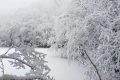 汉江源冰雪季 | 赏雪、嬉雪、看冰瀑，邂逅冬日的浪漫缩略图