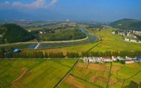 陕西省湿地保护成效显著 彩鹮、桃花水母在陕均有发现缩略图 陕西省湿地保护成效显著 彩鹮、桃花水母在陕均有发现缩略图