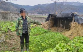 镇巴公安:“鸡”不可失,“盗”此为止缩略图 镇巴公安:“鸡”不可失,“盗”此为止缩略图