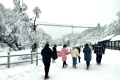 太美啦！汉江源景区下雪啦！滑雪场也即将开放！缩略图