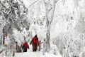 今日陕西全省阴天间多云 28日起将迎来新一轮雨雪天气缩略图