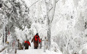 今日陕西全省阴天间多云 28日起将迎来新一轮雨雪天气缩略图