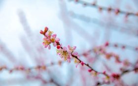 来兴汉胜境，一起唤醒春天的美好缩略图