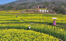 春季乡村休闲旅游行看这里 陕西发布22条精品线路缩略图 春季乡村休闲旅游行看这里 陕西发布22条精品线路缩略图