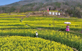 春季乡村休闲旅游行看这里 陕西发布22条精品线路缩略图