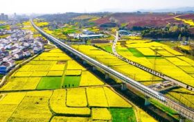 坐上高铁去汉中,共赴一场浪漫之旅!缩略图 坐上高铁去汉中,共赴一场浪漫之旅!缩略图