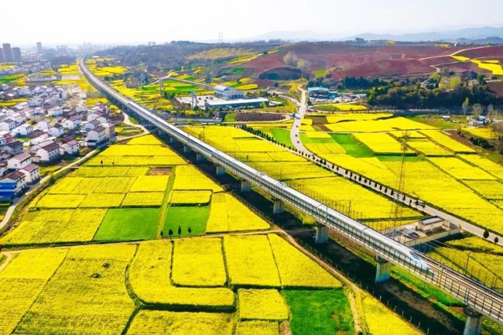 坐上高铁去汉中，共赴一场浪漫之旅！插图