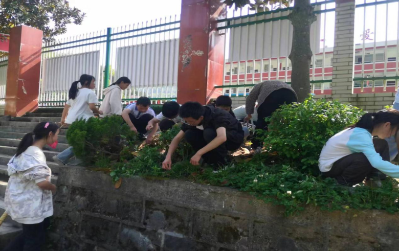 舒家坝乡村学校少年宫开展保护环境系列活动插图1