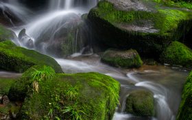 最是一年春好处 ——仲春时节汉江源缩略图 最是一年春好处 ——仲春时节汉江源缩略图