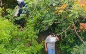 行人为走捷径欲横穿高速,汉中高速交警及时劝离缩略图 行人为走捷径欲横穿高速,汉中高速交警及时劝离缩略图