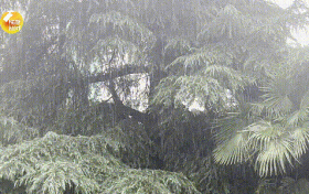 未来三天，陕西有强降水天气过程，局地短时暴雨，具体预报→缩略图