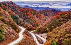 秋日浓度播报!汉中绝美红叶打卡点位看这里→缩略图 秋日浓度播报!汉中绝美红叶打卡点位看这里→缩略图