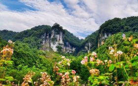 汉中黎坪景区冬日暂别,相约2025年春之盛景缩略图 汉中黎坪景区冬日暂别,相约2025年春之盛景缩略图