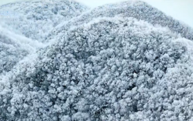 12月4日陕西省南部地区有弱雨雪天气缩略图 12月4日陕西省南部地区有弱雨雪天气缩略图