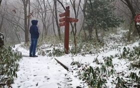 今天,汉江源下雪啦!!!缩略图 今天,汉江源下雪啦!!!缩略图