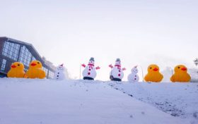 2月1日陕西中南部有雨雪天气 出行注意安全缩略图 2月1日陕西中南部有雨雪天气 出行注意安全缩略图