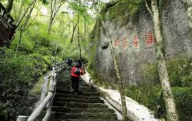 半价、免门票！汉中一景区近日优惠活动来了缩略图