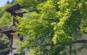 简约消费 拒绝天价粽子缩略图