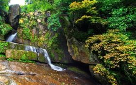 汉台区关于加强鸟类等野生动植物保护的通告缩略图