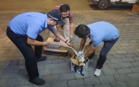 汉台警民携手救助一只国家一级保护动物缩略图
