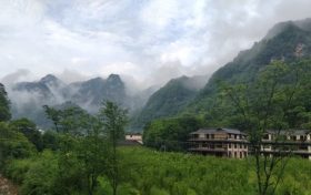 橘子吃多了为什么会变成“小黄人”？缩略图