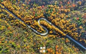 秋满佛坪，风光正好！踏入这抹绚烂秋色里，邂逅只属于你的心动时刻！缩略图