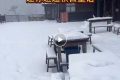 陕西一地又又又下雪了！最新气象快报→缩略图
