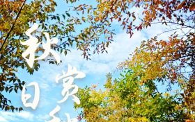 这个秋天一定要来草川子景区,彩林已经进入最佳观赏期啦!缩略图 这个秋天一定要来草川子景区,彩林已经进入最佳观赏期啦!缩略图