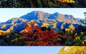 这个秋天一定要来草川子景区,彩林已经进入最佳观赏期啦!缩略图 这个秋天一定要来草川子景区,彩林已经进入最佳观赏期啦!缩略图