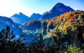 草川子生态康养旅游度假区今日恢复开园，正常接待游客缩略图