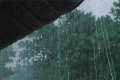 新一轮降雨，上线！缩略图
