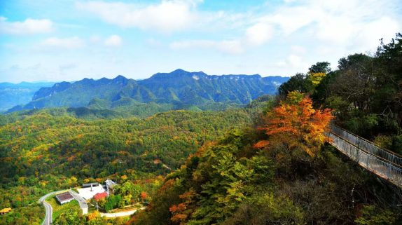 这个秋天一定要来草川子景区，彩林已经进入最佳观赏期啦！缩略图