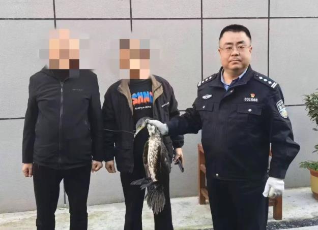 汉中警民携手救助受伤鸬鹚插图 汉中警民携手救助受伤鸬鹚插图