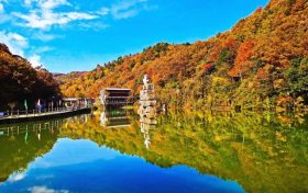 秋染汉江源：从晨曦云海到落日红叶，每帧都是壁纸级美景缩略图