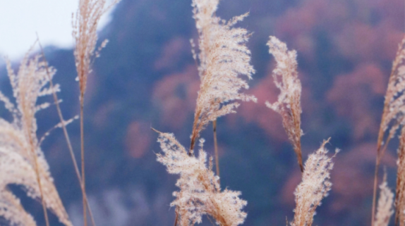 今年，陕西将建成通车2条高速路！缩略图