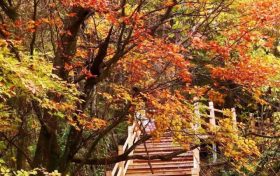 不等了!这个秋天,我就要去草川子~缩略图 不等了!这个秋天,我就要去草川子~缩略图