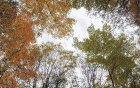 最低-9.7℃！陕西降温、降雨！汉中→缩略图