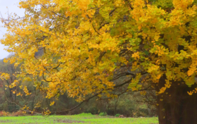 秋假学子免票游草川子，解锁秋日里的彩林&石林，速速码住！缩略图