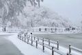 【冬季预告】等一场雪，赴汉江源的秦巴冬约缩略图
